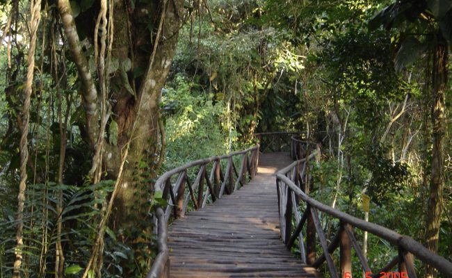 Parque_Cinturao_Verde_Sao_Francisco_do_Sul_SC-6.jpg